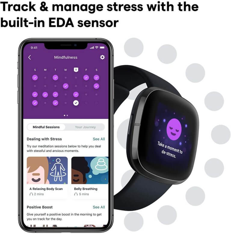 pixel watch fitbit